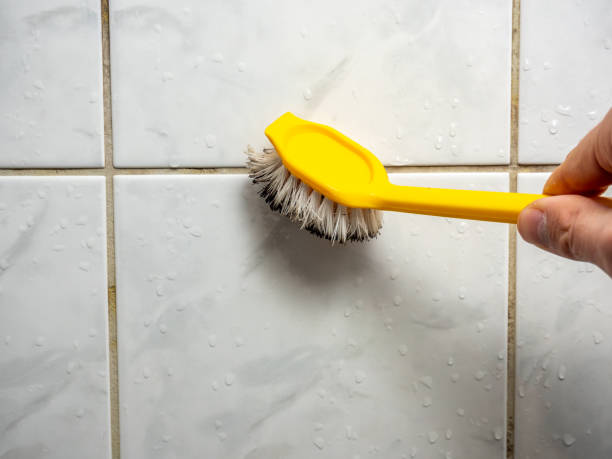 Best Basement Mold Remediation in Donald, OR