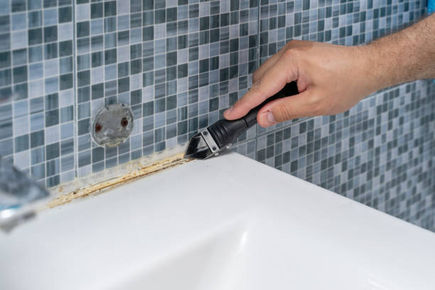 Best HVAC Mold Remediation in Donald, OR